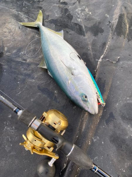 あみや渡船 JIGBOY 釣果