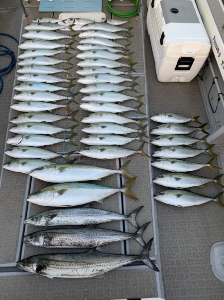 SeaRide(シーライド) 釣果