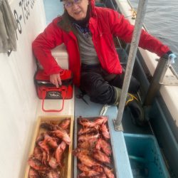 岡田釣船 八英丸 釣果