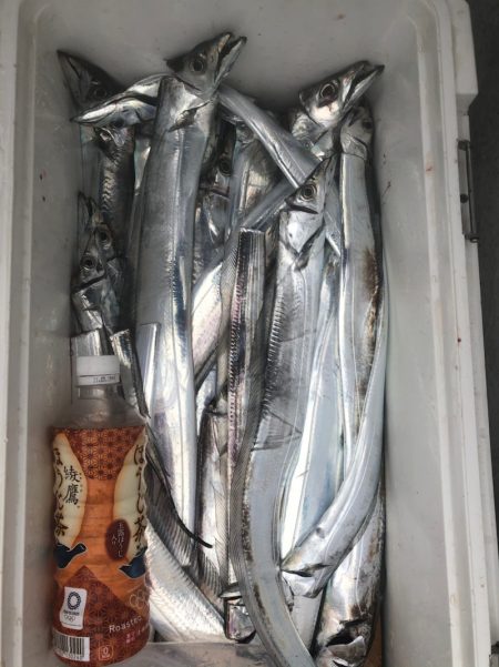 フィッシング　キッタカ 釣果