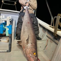 ＴＡＲＯＭＡＲＵ 釣果