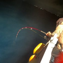 ＴＡＲＯＭＡＲＵ 釣果