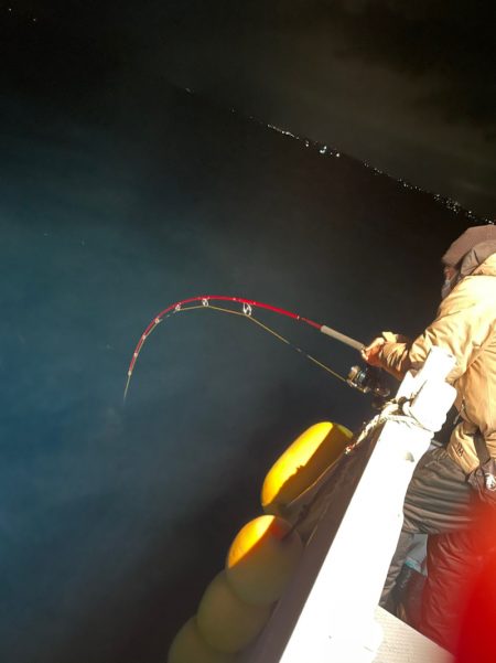 ＴＡＲＯＭＡＲＵ 釣果