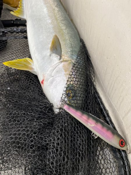 「LaGooN」蒼陽丸 日和号　 釣果