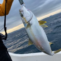 「LaGooN」蒼陽丸 日和号　 釣果