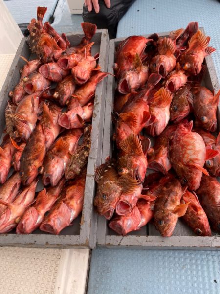 岡田釣船　八英丸 釣果