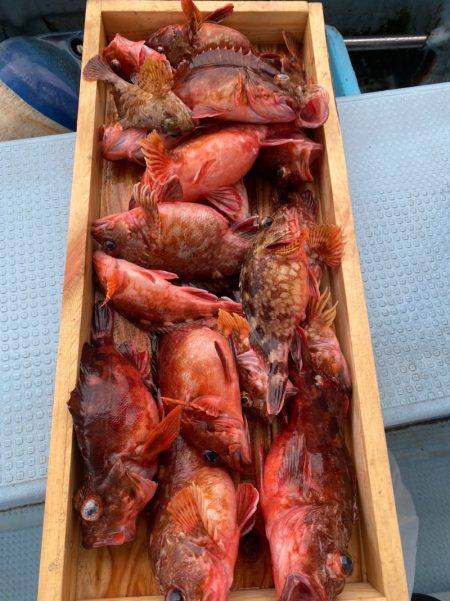 岡田釣船 八英丸 釣果