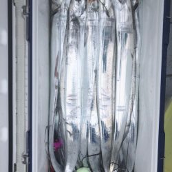 フィッシング　キッタカ 釣果