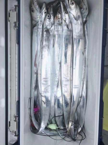 フィッシング　キッタカ 釣果