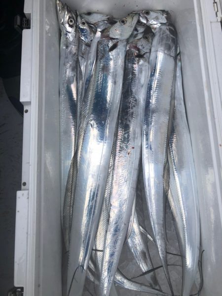 フィッシング　キッタカ 釣果