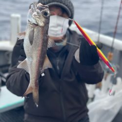 ＴＡＲＯＭＡＲＵ 釣果