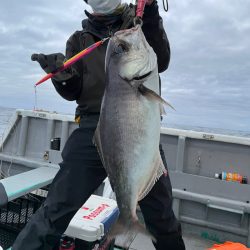 ＴＡＲＯＭＡＲＵ 釣果