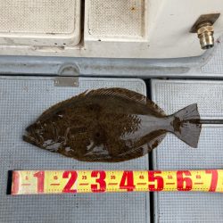 遊漁船高橋 釣果