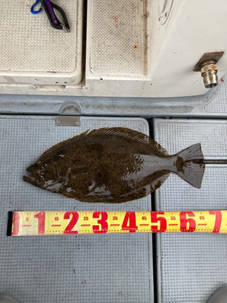 遊漁船高橋 釣果