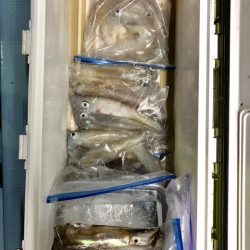 第二八坂丸 釣果