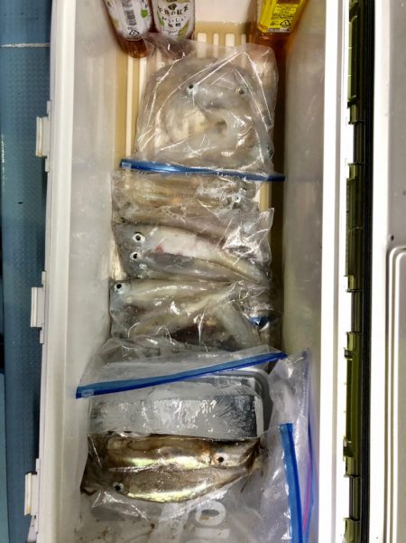 第二八坂丸 釣果