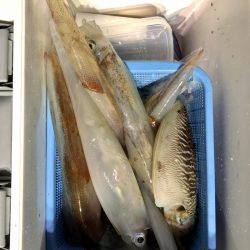 第二八坂丸 釣果