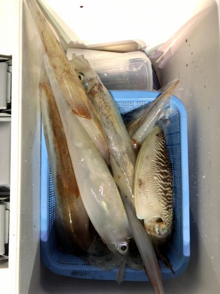 第二八坂丸 釣果