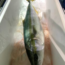 第二八坂丸 釣果