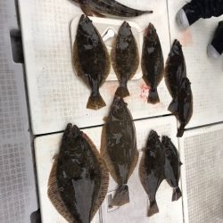 遊漁船メテオ 釣果