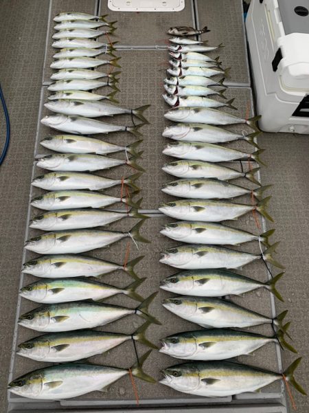 SeaRide(シーライド) 釣果