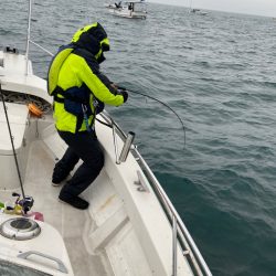 末広丸(熊本) 釣果