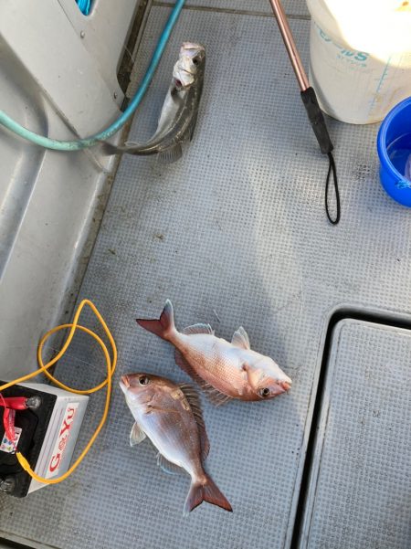 遊漁船高橋 釣果