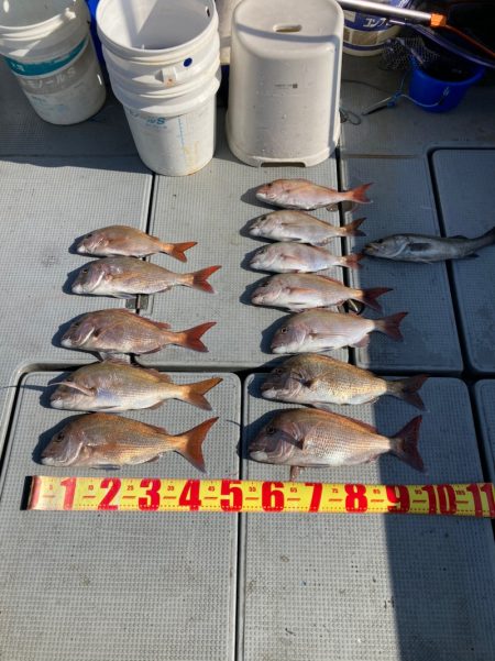 遊漁船高橋 釣果