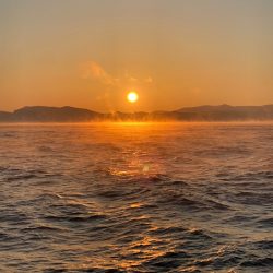 シーランチ 釣果