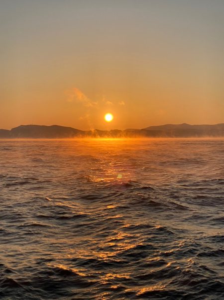 シーランチ 釣果