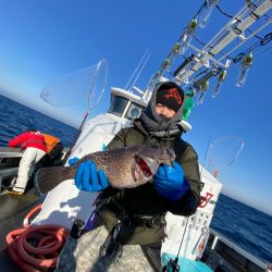 シーランチ 釣果