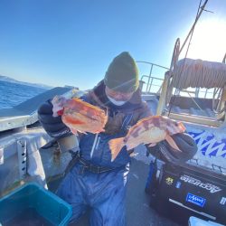 シーランチ 釣果