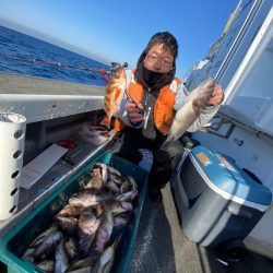 シーランチ 釣果