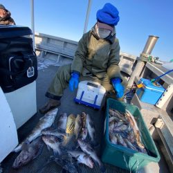 シーランチ 釣果