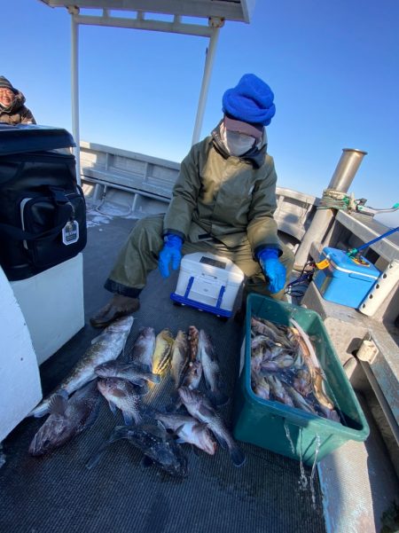 シーランチ 釣果