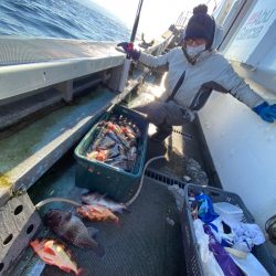 シーランチ 釣果