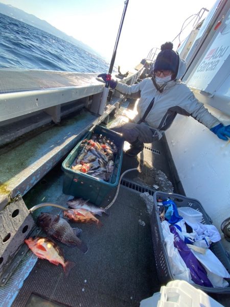 シーランチ 釣果
