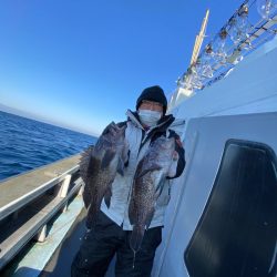 シーランチ 釣果