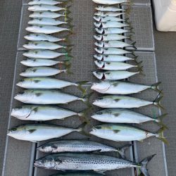 SeaRide(シーライド) 釣果