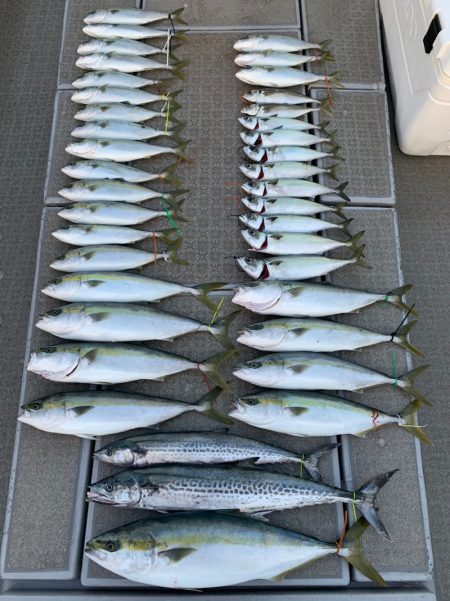 SeaRide(シーライド) 釣果