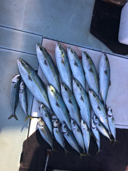 エムズジャーク（M's JERK…