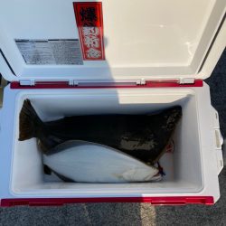 遊漁船高橋 釣果