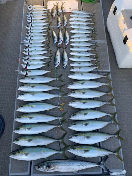 SeaRide(シーライド) 釣果