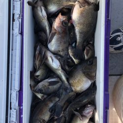 フィッシング　キッタカ 釣果