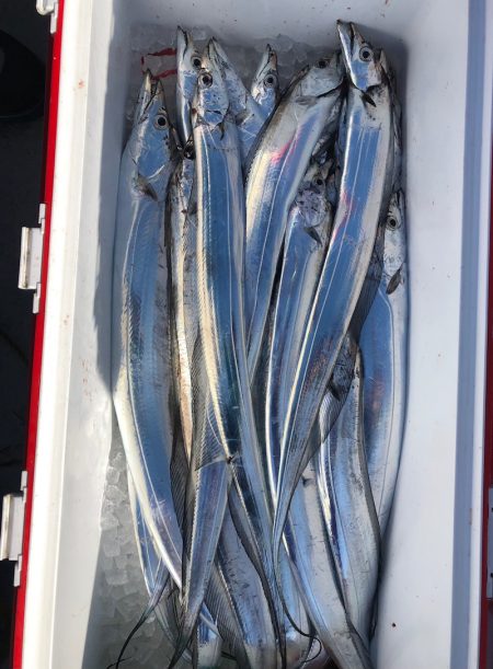 フィッシング　キッタカ 釣果