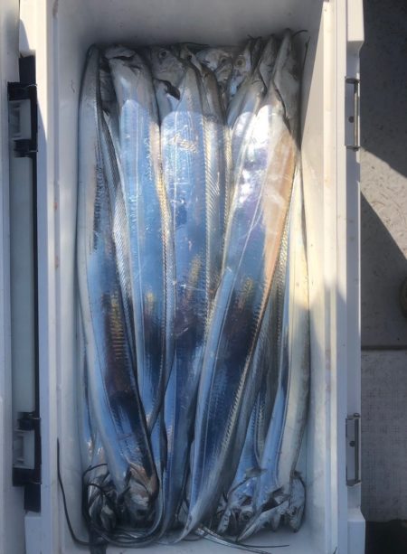 フィッシング　キッタカ 釣果