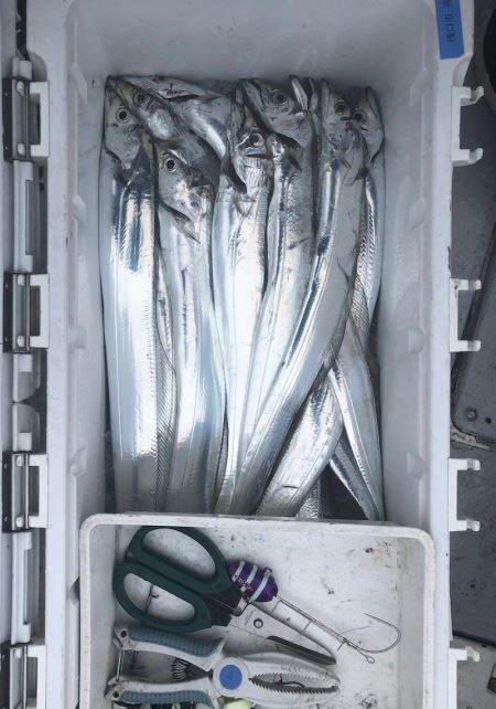 フィッシング　キッタカ 釣果