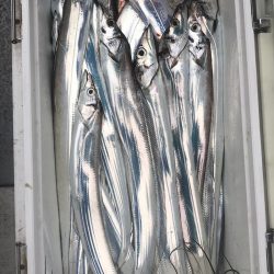 フィッシング　キッタカ 釣果