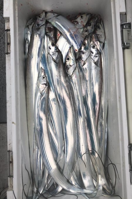 フィッシング　キッタカ 釣果