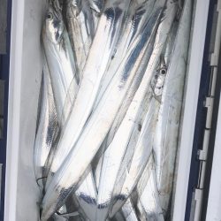 フィッシング　キッタカ 釣果